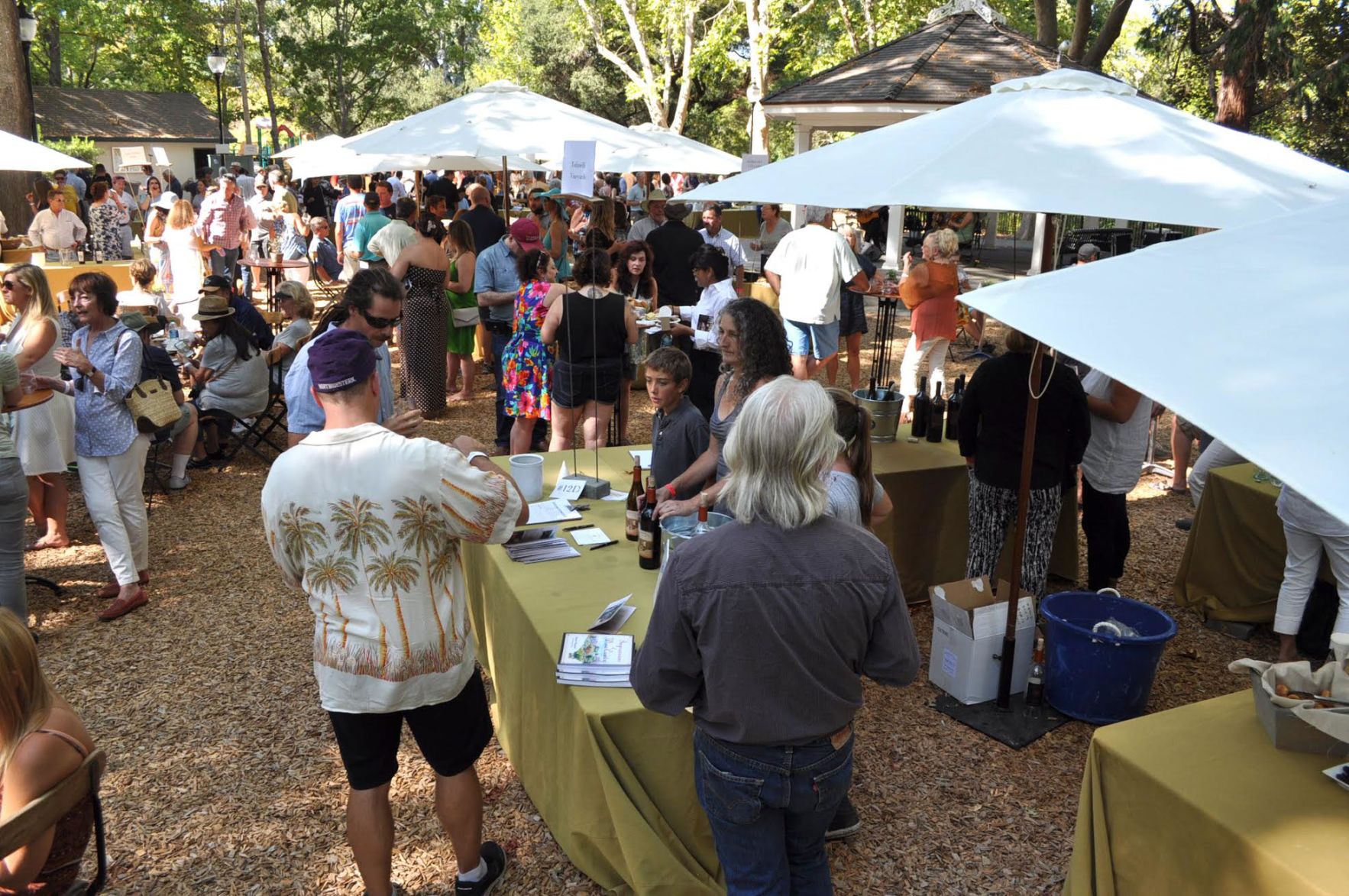Calistoga Wine Experience